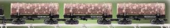 Picture of Western Maryland Skeleton 3-Car Set
