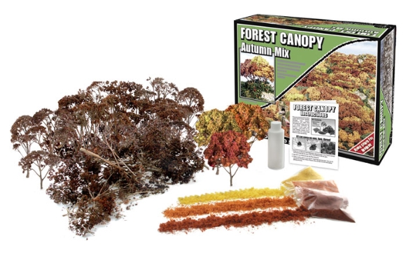 Picture of Autumn Mix Forest Canopy