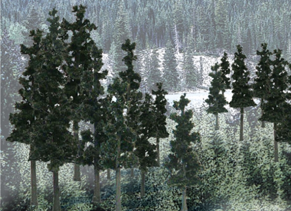 Picture of Ready Made Conifer Colors Pine Tree Pack (33)