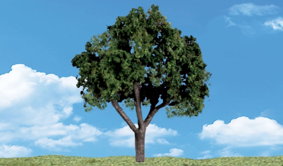 Picture of Cool Shade Trees 3-pk (3-4")