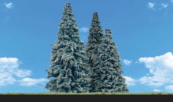 Picture of Blue Needle Trees 4-pk (3.5 - 5.5")