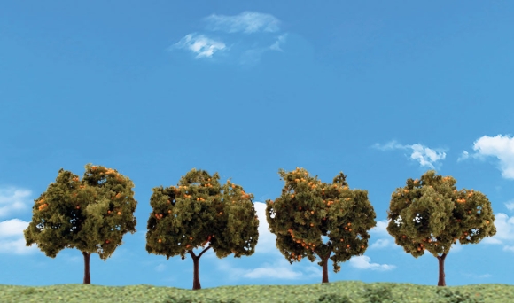 Picture of Orange Trees 4-pk (2-3")